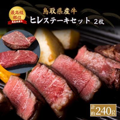 ふるさと納税 倉吉市 鳥取県産牛 ヒレステーキ 2枚(計約240g)KR170 国産牛 希少部位