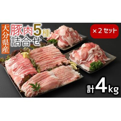 ふるさと納税 臼杵市 小分けされてるから便利♪大分県産 豚詰め合わせ5種(約4kg)  豚肉 小分け 国産 セット 冷凍 | 