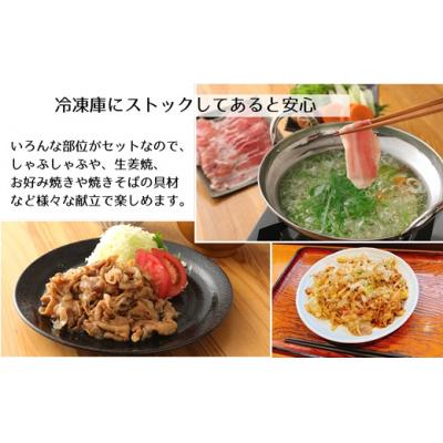 ふるさと納税 臼杵市 小分けされてるから便利♪大分県産 豚詰め合わせ5種(約4kg)  豚肉 小分け 国産 セット 冷凍 |  | 03