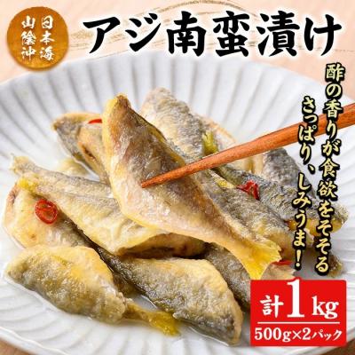 ふるさと納税 境港市 アジ南蛮漬け(計1kg)
