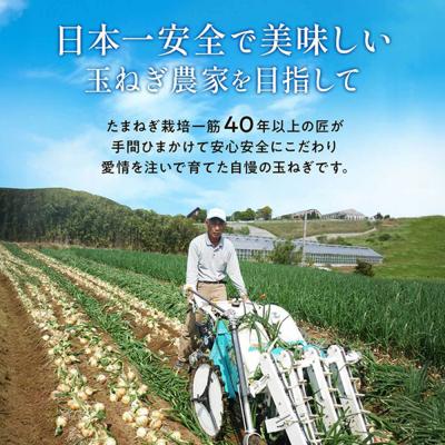 ふるさと納税 淡路市 今井ファームの淡路島たまねぎ加工品福袋 ai01748の画像