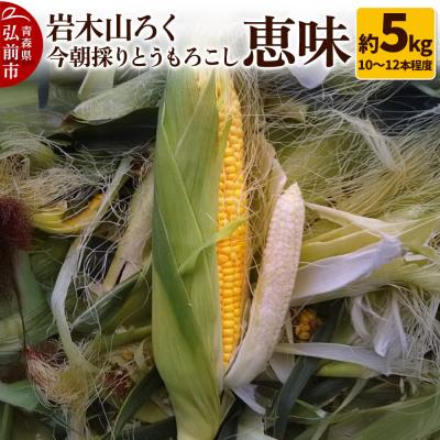 ふるさと納税 弘前市 岩木山ろく 今朝採り とうもろこし 恵味 約5kg(10〜12本程度)|24_ikr-030501