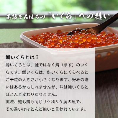 ふるさと納税 名古屋市 いくら 醤油漬け 200g(100g×2P) 鱒の卵 冷凍 尾張まるはちの画像
