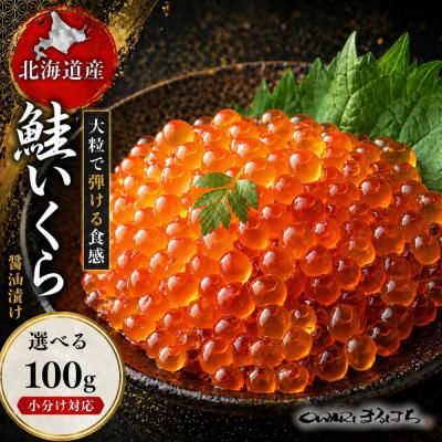 ふるさと納税 名古屋市 いくら 醤油漬け(100g×1P) 北海道 秋鮭卵 冷凍 尾張まるはち