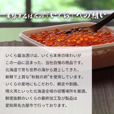 ふるさと納税 名古屋市 いくら 醤油漬け 200g(100g×2P) 北海道 秋鮭卵 冷凍 尾張まるはちの画像