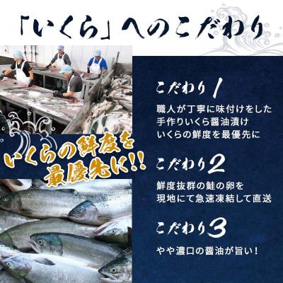 ふるさと納税 名古屋市 いくら 醤油漬け 200g(100g×2P) 北海道 秋鮭卵 冷凍 尾張まるはちの画像