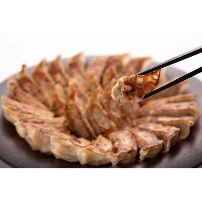 ふるさと納税 名古屋市 50年餃子 元祖肉餃子&amp;野菜増し肉餃子 各種40個入り