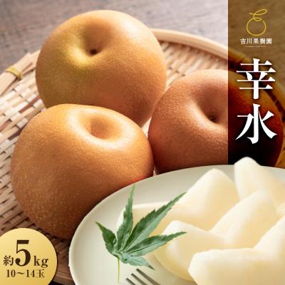 ふるさと納税 角田市 [2026年発送分先行予約]幸水 約5kg(10〜14玉)8月下旬〜順次発送[吉川果樹園]