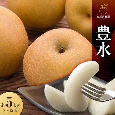 ふるさと納税 角田市 [2026年発送分先行予約]豊水 約5kg(8〜12玉)9月下旬〜順次発送[吉川果樹園]
