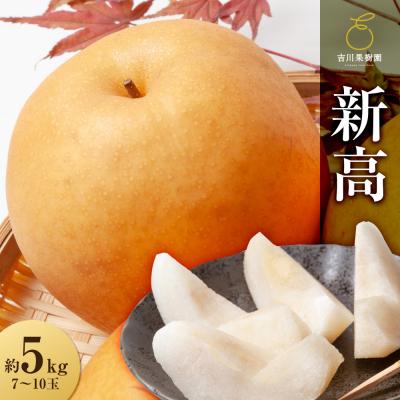 ふるさと納税 角田市 [2026年発送分先行予約]新高 約5kg(7〜10玉)10月中旬〜順次発送[吉川果樹園]