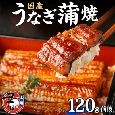 ふるさと納税 名古屋市 名古屋 うなぎのしら河 国産 鰻 蒲焼き 120g前後×1尾 タレ 山椒付