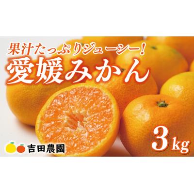 ふるさと納税 愛南町 先行予約 愛媛みかん 3kg 吉田農園 愛南町 愛媛県