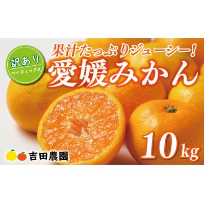 ふるさと納税 愛南町 先行受付 訳あり 愛媛みかん 10kg 愛媛 みかん 温州みかん ミカン 吉田農園 愛南町 愛媛県