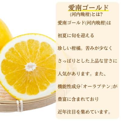 ふるさと納税 愛南町 愛南ゴールド 入り 甘酒 (150g×5本) 7000円 あま酒 パウチ 愛南町 愛なんよ |  | 02