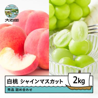ふるさと納税 大石田町 [先行予約] もも 白桃 &amp; シャインマスカット 約2kg 詰め合わせ 2026年産 令和8年産