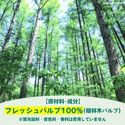 ふるさと納税 甲佐町 ティッシュペーパーソフトパック　400枚(200組)60パック【ZC】 |  | 02