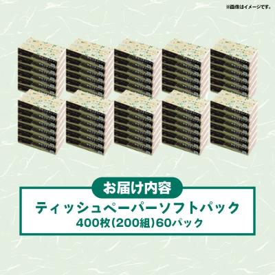 ふるさと納税 甲佐町 ティッシュペーパーソフトパック 400枚(200組)60