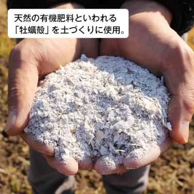 ふるさと納税 淡路市 淡路島産玉ねぎオイスターラブ 10kg箱　aa01011 |  | 01