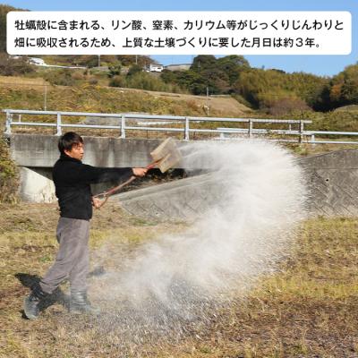 ふるさと納税 淡路市 淡路島産玉ねぎオイスターラブ 10kg箱　aa01011 |  | 02