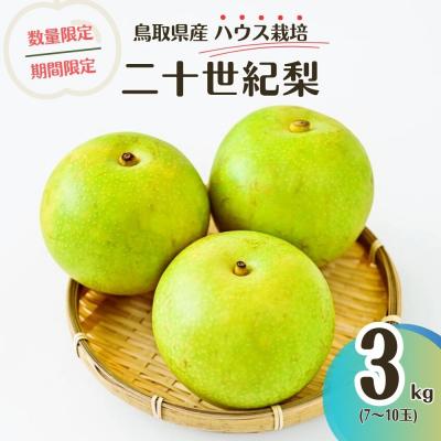 ふるさと納税 倉吉市 [先行受付]ハウス二十世紀梨 3kg[鳥取県産](生橋農園)梨 果物