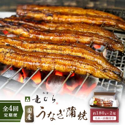 ふるさと納税 名古屋市 [全4回定期便]国産うなぎ蒲焼 約180g×2尾[炭火・職人手焼き「和食竜むら」]