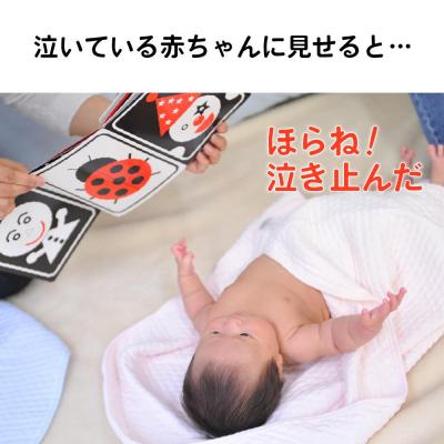 ふるさと納税 名古屋市 非認知能力を高める、0歳からの「対話読み聞かせ」白黒赤絵本(知育玩具) |  | 03