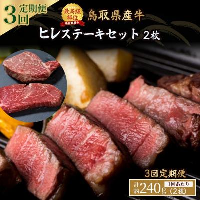 ふるさと納税 倉吉市 鳥取県産牛 ヒレステーキ 240g×3回 定期便 国産 牛肉 赤身 ヒレ ステーキ 冷凍 定期便