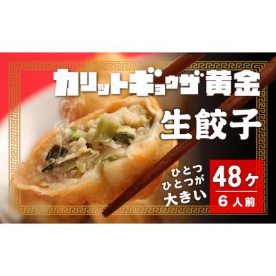 ふるさと納税 名古屋市 カリットギョウザ 生餃子48ケ[6人前]ジューシー
