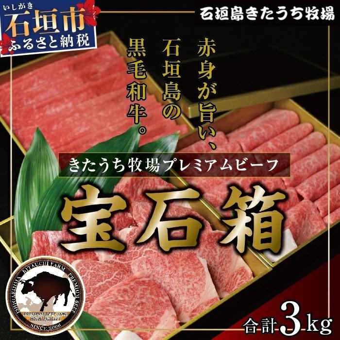 ふるさと納税 石垣市 きたうち牧場プレミアムビーフ宝石箱 合計3kg AM-1