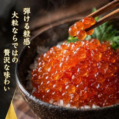 ふるさと納税 名古屋市 いくら 醤油漬け(150g×1P) 北海道 鮭卵 訳あり 冷凍 尾張まるはち |  | 01