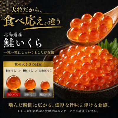 ふるさと納税 名古屋市 いくら 醤油漬け(150g×1P) 北海道 鮭卵 訳あり 冷凍 尾張まるはち |  | 02