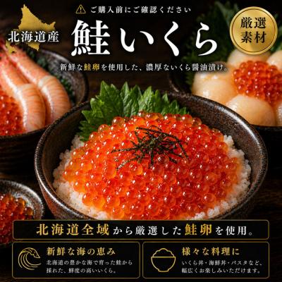 ふるさと納税 名古屋市 いくら 醤油漬け(150g×1P) 北海道 鮭卵 訳あり 冷凍 尾張まるはち |  | 03
