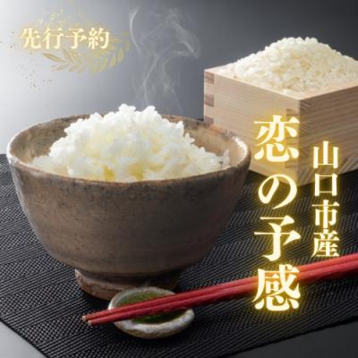 ふるさと納税 山口市 農家直送!山口市産新米「恋の予感」精米10