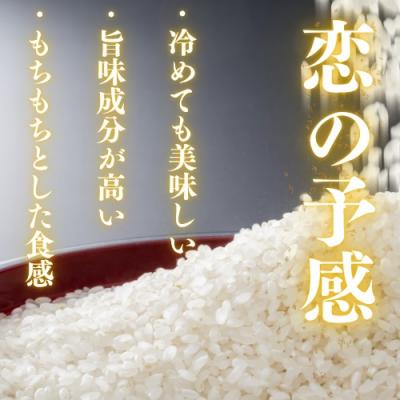 ふるさと納税 山口市 農家直送!山口市産新米「恋の予感」精米10