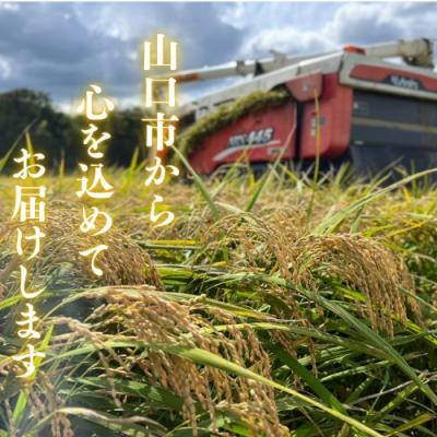 ふるさと納税 山口市 農家直送!山口市産新米「恋の予感」精米10