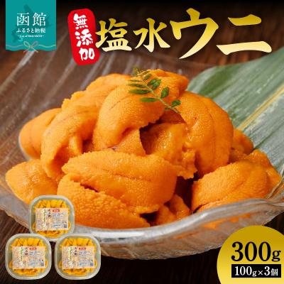 ふるさと納税 函館市 無添加塩水ウニパック(100g) ×3個セット_HD069-033