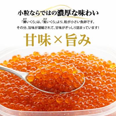 ふるさと納税 名古屋市 いくら 醤油漬け 300g(150g×2P) 鱒の卵  冷凍 尾張まるはち | いくら イクラ |  | 02