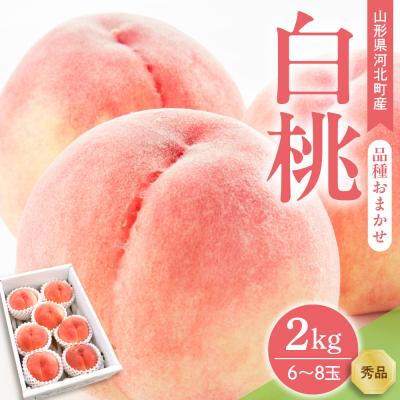 ふるさと納税 河北町 [令和8年産]白桃 品種おまかせ 2kg (6〜8玉前後) ギフト箱入 秀品 山形県産