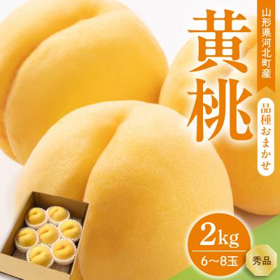 ふるさと納税 河北町 [令和8年産]黄桃 品種おまかせ 2kg (6〜8玉前後) ギフト箱入 秀品 山形県産