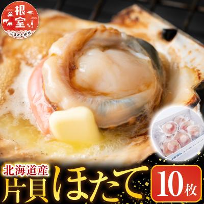 ふるさと納税 根室市 根室海鮮市場＜直送＞片貝ほたて10枚 G-28044 | 