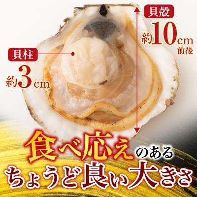 ふるさと納税 根室市 根室海鮮市場＜直送＞片貝ほたて10枚 G-28044 |  | 02