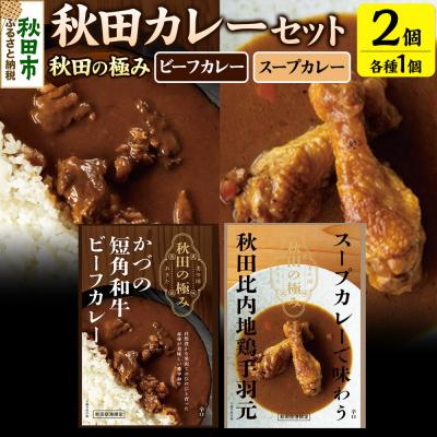 ふるさと納税 秋田市 秋田カレーセット 短角和牛ビーフカレー スープカレー 秋田比内地鶏手羽元|15_aap-020101