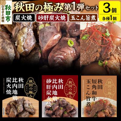 ふるさと納税 秋田市 秋田の極み 第1弾セット 鶏炭火焼 鶏砂肝炭火焼 短角和牛玉こん旨煮|15_aap-030101