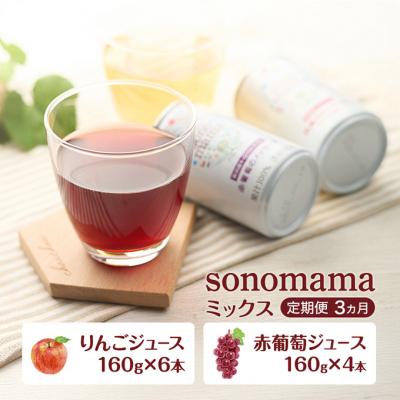 ふるさと納税 羽後町 [定期便3ヵ月]ミックス「sonomama」(160g×10本)