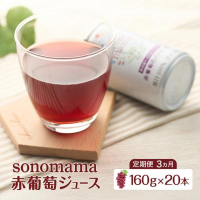 ふるさと納税 羽後町 [定期便3ヵ月]赤葡萄ジュース「sonomama」(160g×20本)