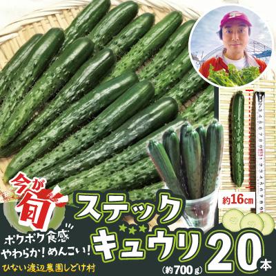 ふるさと納税 大館市 ステックキュウリ ポクポク柔らか!めんこい!約20本