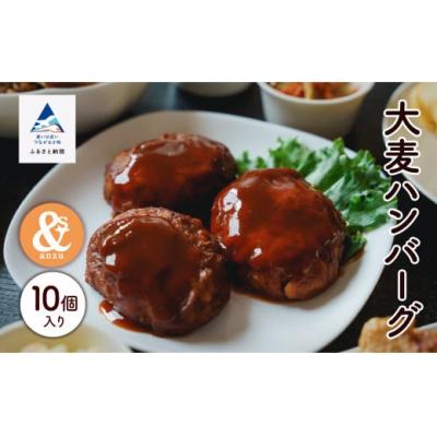 ふるさと納税 小松市 国産大麦のハンバーグ 10個入り 冷凍ハンバーグ 小分け包装 小松市産大麦