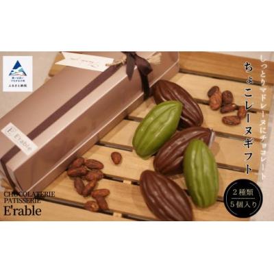 ふるさと納税 小松市 マドレーヌ チョコ 焼菓子 ちょこレーヌギフト 2種類 5個入り