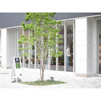 ふるさと納税 名古屋市 飛騨牛革で作るハンドメイドの選べるデザイン　内羽根・外羽根紳士靴の画像