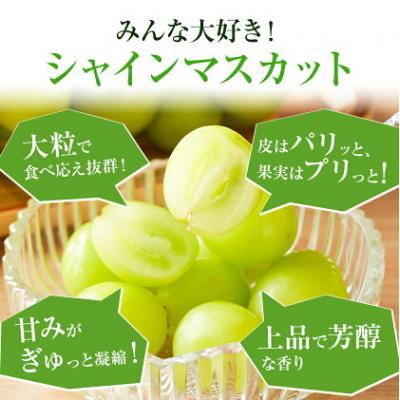 ふるさと納税 矢掛町 岡山県産 シャインマスカット 約2kg 矢掛Grape Fairies[9月中旬-10月末頃出荷]